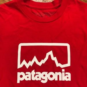 Patagonia shirt sleeve tee shirt